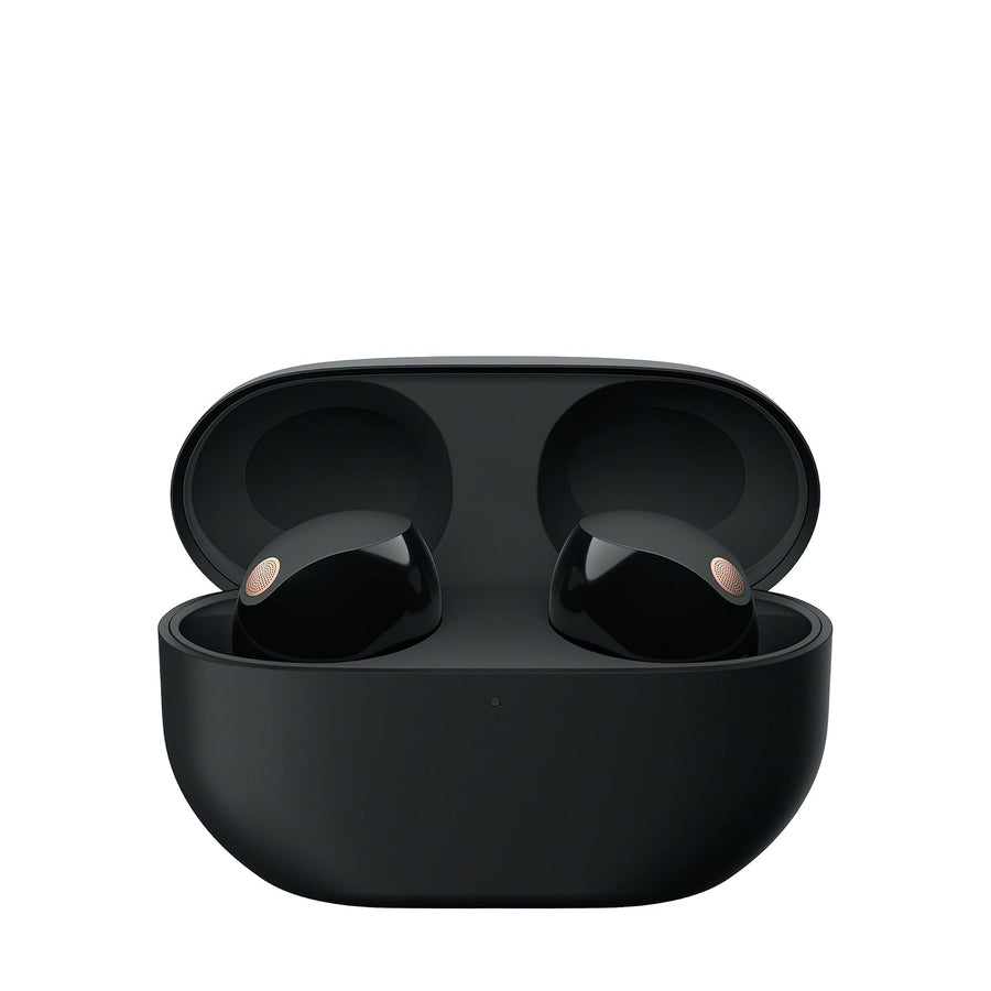 Sony WF-1000XM5 Active Noise Cancelling Wireless Bluetooth in Ear Earbuds with Mic, Up to 36 Hours Battery Life - Black