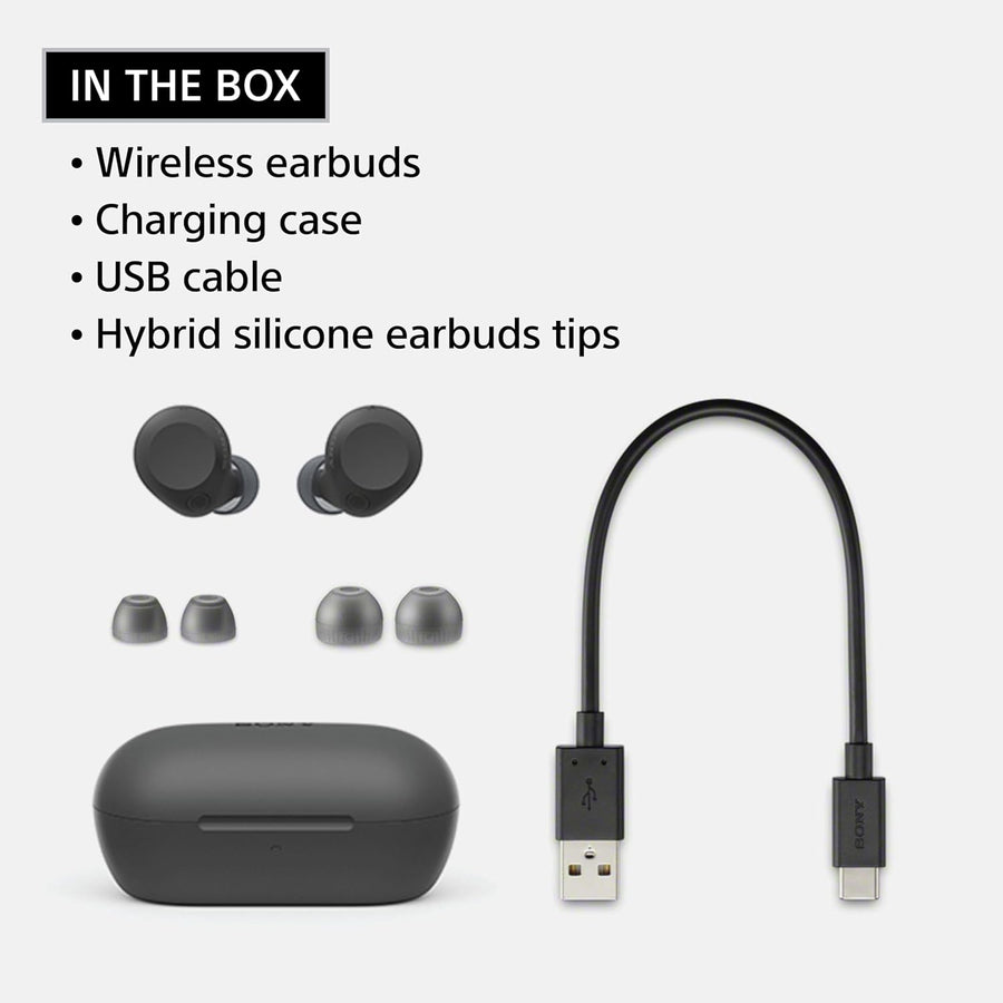 Sony WF-C710N Dual Noise Cancellation Wireless Bluetooth Earbuds, AI Call, 40Hrs Battery (W/O ANC) / 30Hrs (ANC) – Blue
